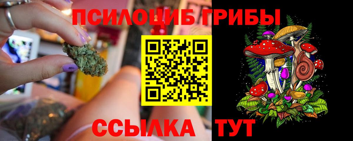 сколько стоит  Псилоцибиновые грибы MAGIC MUSHROOMS  Вход с VPN  Губкинский  Галлюциногенные грибы мицелий 